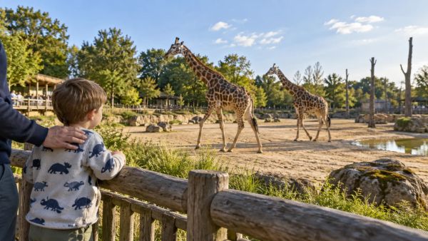 Zoo de la Flèche gratuit enfant : quels sont les tarifs et conditions ?